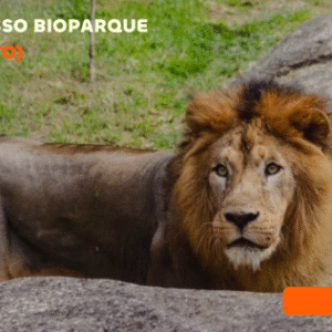BioParque do Rio